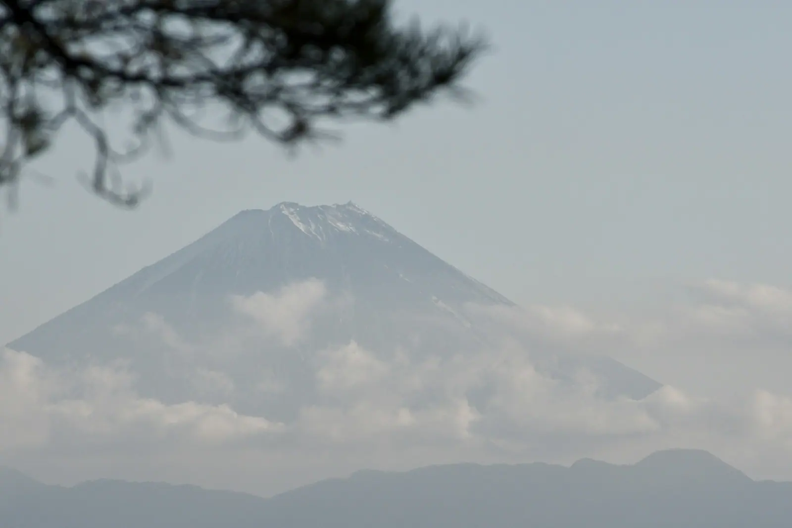 Mount Fuji almost lost in soft bright cloud, the summit a faint outline against an evenly lit pale sky, framed by a pine branch.