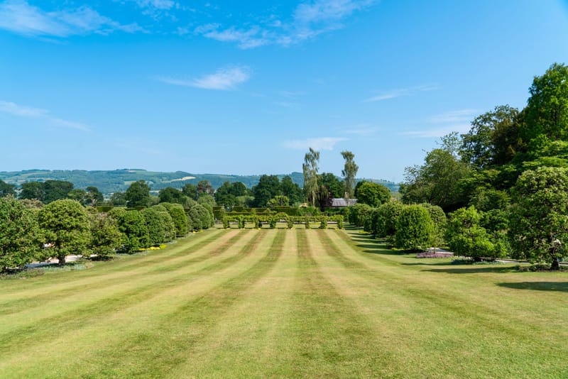 After: a wide lawn mown in clean stripes, edges cut, hedges clipped