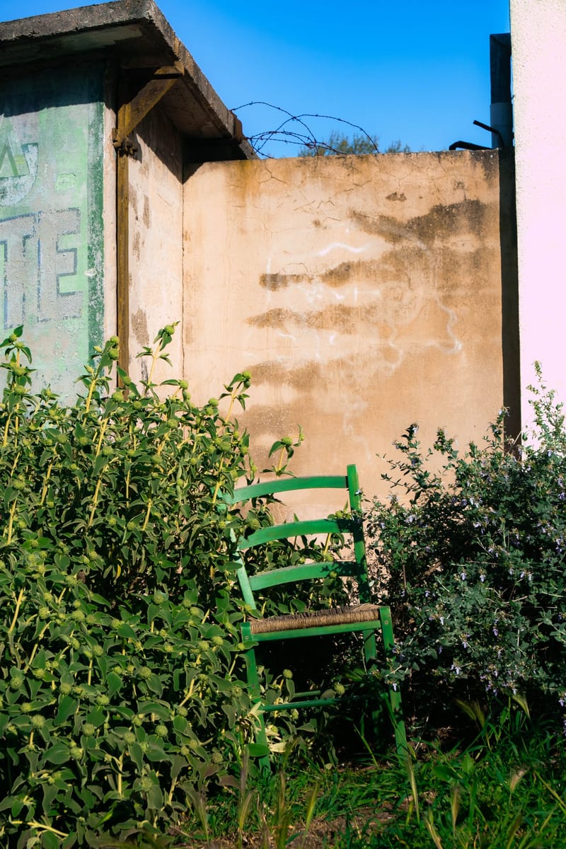 Before: a garden chair almost buried by overgrown shrubs against a bare wall